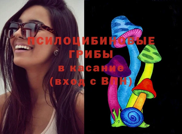 ешки Вяземский